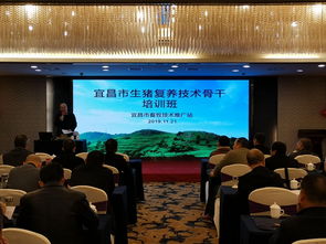 科技賦能，精準施策——市畜牧技術推廣站舉辦專題培訓班，全力助推生豬復產保供給